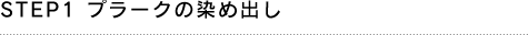 STEP1 プラークの染め出し