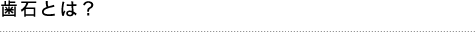 歯石とは？