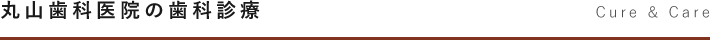 丸山歯科医院の歯科診療