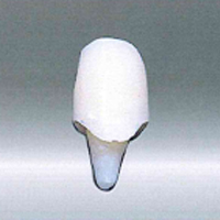 ファイバーコア